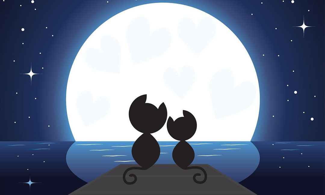 郴州潮客汇微信活动策划案例